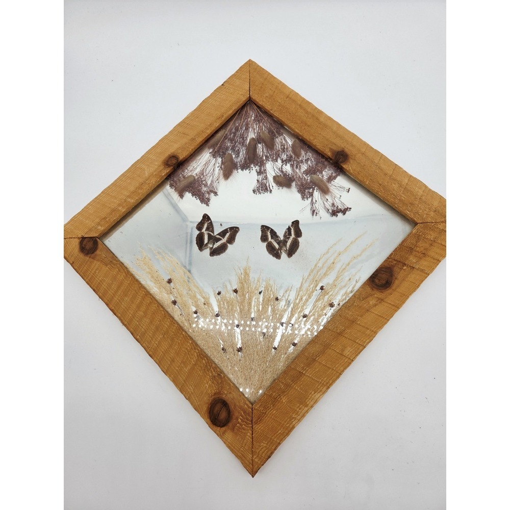 Vintage Taxidermy Mirror 15x15 Real Butterfly Brown Grass Wheat Dried Flowers